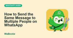 How to Send the Same Message to Multiple People on WhatsApp cover