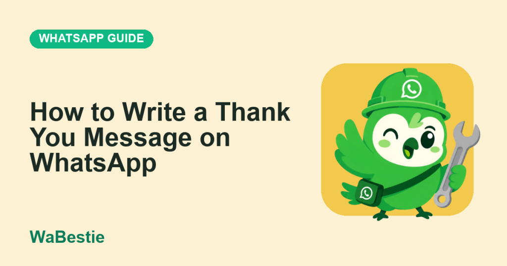 How to Write a Thank You Message on WhatsApp cover